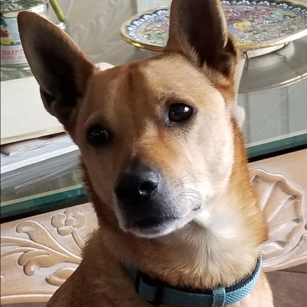 Meet your Posher, Prax